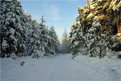 像素风格开放世界生存制作游戏《从废墟到堡垒》即将推出抢先体验版